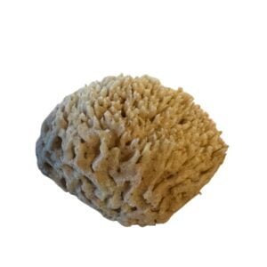 Caribbean Wool - Морска гъба за бебета и деца